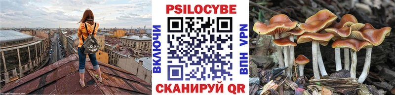 Купить  Вязьма  Псилоцибиновые грибы MAGIC MUSHROOMS 
